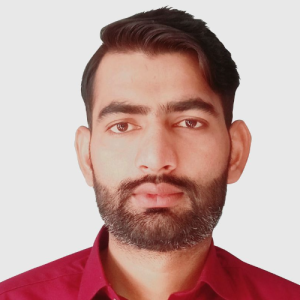 Mulazim Hussain-Freelancer in Multan,Pakistan