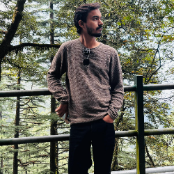 Shubham-Freelancer in Noida,India