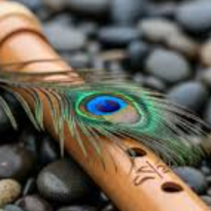 Jayshri Suryawanshi-Freelancer in Muktainagar,India