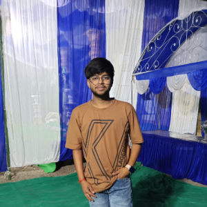 Pankaj Verma-Freelancer in Ludhiana,India