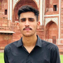 Vishnu Bishnoi-Freelancer in Jaipur,India