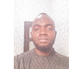 Qs Ude Michael-Freelancer in Enugu, Nigeria,Nigeria