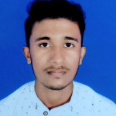 Praveen Kumar-Freelancer in Ranchi, Jharkhand, India,India