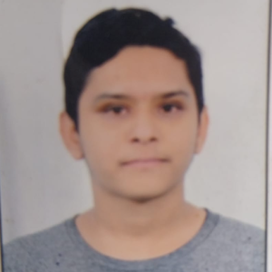 Swapnil Tapre-Freelancer in sillod,India