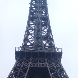 Saira Atif-Freelancer in Lahore,Pakistan