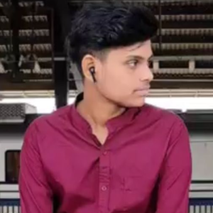 Harieesh-Freelancer in chennai,India