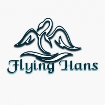 Flyinghans Production-Freelancer in Delhi,India