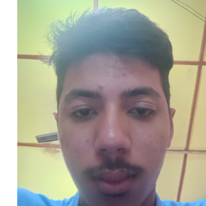 RAHUL CHETIA-Freelancer in Guwahati,India