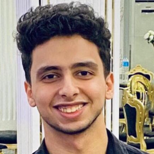 Ahmed Shata-Freelancer in egypt,Egypt