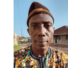 Balogun Alex Balogun-Freelancer in Ibadan,Nigeria