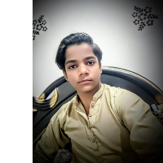 Ayaan Writer-Freelancer in Sukkur,Pakistan