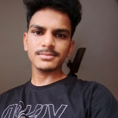 Thakor Shravan-Freelancer in Junagadh,India