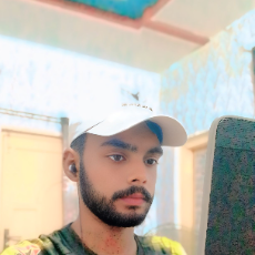 Muhammad Waseem-Freelancer in Bhera,Pakistan