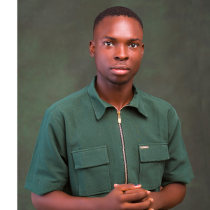 Itunu Hassan-Freelancer in Lagos,Nigeria