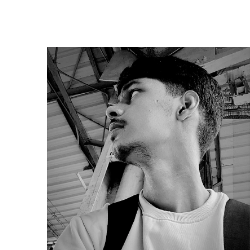 Aryan shukla-Freelancer in Thane,India