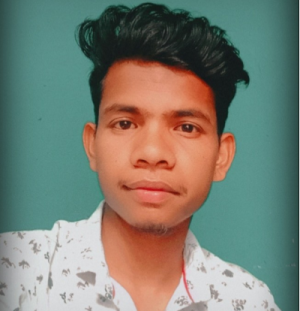 Dhaniram Singh-Freelancer in Shahdol Division,India