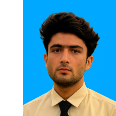 Malik Saad-Freelancer in Islamabad,Pakistan
