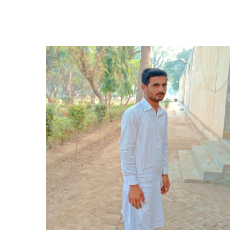 Ali Husnain-Freelancer in Sayadwala,Pakistan