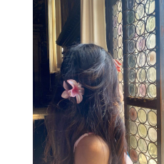 Sweta Pinto-Freelancer in Udupi,India