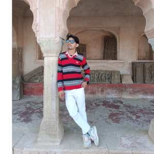 Arvind Kumar-Freelancer in Jaipur,India