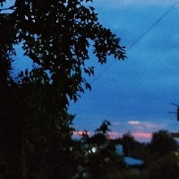 Reshma-Freelancer in Southern Division,India