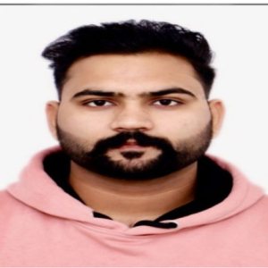 Sumit Kundal-Freelancer in Ludhiana,India