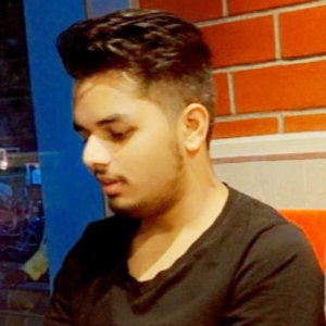 Rudra Gupta-Freelancer in Jaipur,India