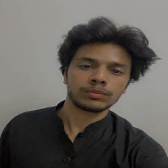 Danish Mansoor-Freelancer in Sargodha,Pakistan
