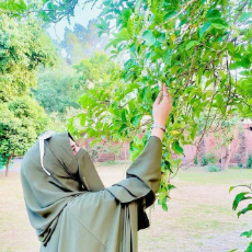 Candy Floss-Freelancer in Kot Addu,Pakistan