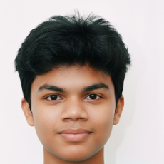 Devashish Raut-Freelancer in Shegaon,India