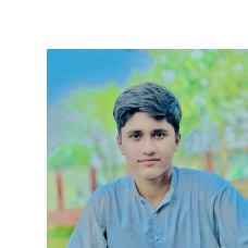 Rana Rafay-Freelancer in Bhera,Pakistan