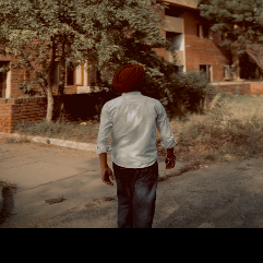 Manmeet Singh-Freelancer in Deo,India