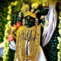 Anjali Goud-Freelancer in Sagore Pithampur,India
