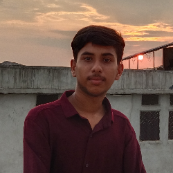 Ahad Rayeen-Freelancer in Jodhpur,India
