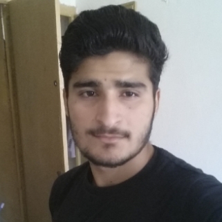 Faisal Hayat-Freelancer in ,Pakistan