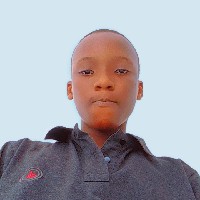 Adekunle Muhammad-Freelancer in Odigbo,Nigeria