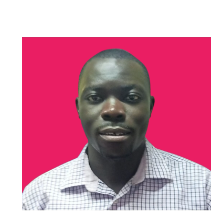 Statistician /data Analyst-Freelancer in Nairobi,Kenya