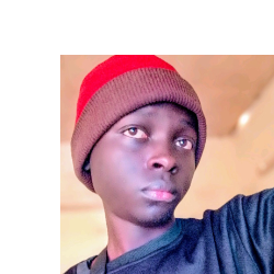 Raphael Nyawachi-Freelancer in Nairobi,Kenya