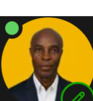 Timi Adeyemi-Freelancer in Akure,Nigeria