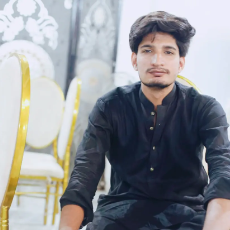 Sikandar Abbas-Freelancer in Ferozewala,Pakistan
