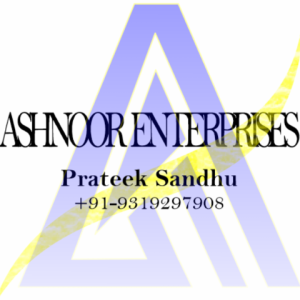 Er Prateek Sandhu-Freelancer in New Delhi,India