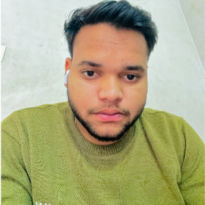 Asif Ansari-Freelancer in Muzaffarnagar,India