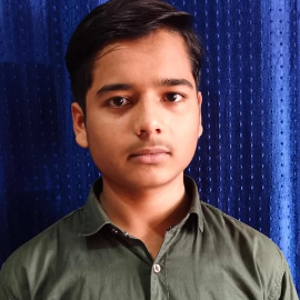 Mohammad Naqi-Freelancer in Moradabad,India