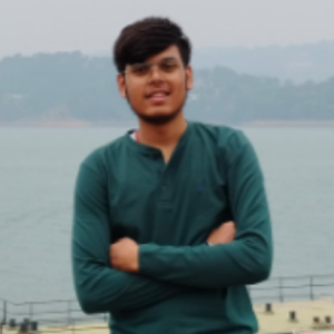 Ayan Gupta-Freelancer in Ranchi,India