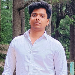Satyendra Kannaujiya-Freelancer in Azamgarh,India