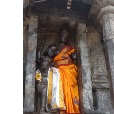 Vasuki Agila-Freelancer in Puducherry,India