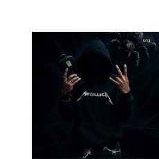 Haseeb Khan-Freelancer in Dehradun,India