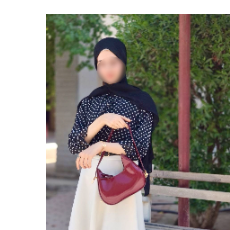 Tulipecal-Freelancer in Najaf,Iraq