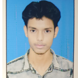 Mahmud Raja-Freelancer in Bhurkunda Tola,India