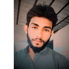 Rao Ali-Freelancer in Vehari,Pakistan